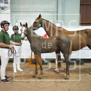 Lord thargo dela bastide