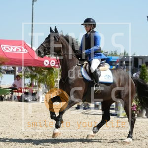 D'artagnan van de vecht Z