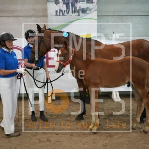 T'unicom elegant de cottom