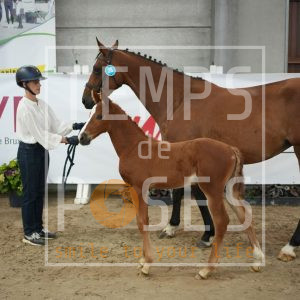 Tchin tchin des hayettes