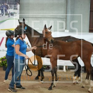 Trinity woo by classic Z