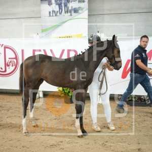 Dame de coeur de chalix