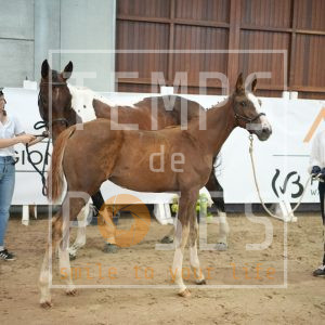 Milky way des hayettes Z