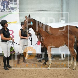 Top Girls du vieux chene