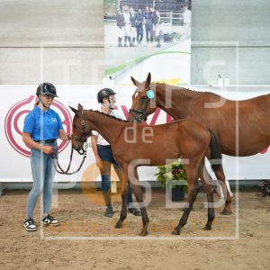 Obsession Liégeois Z