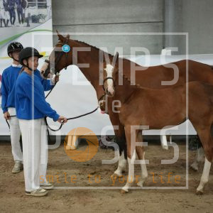 Tainted love de longchamps