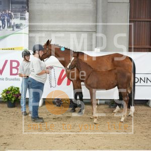 Twinkelde la fontaine loquet