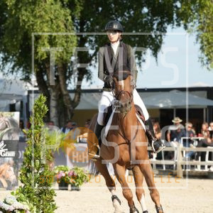 Noblesse Chavannaise