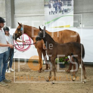 The Lucky star du bois des voleurs