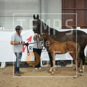 Trinity d'harduemont