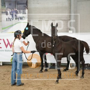 Théo dubois des sarts