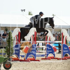 Ti Amo Van T' Ameldonk Z