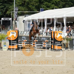 Vanillya van de mishagen