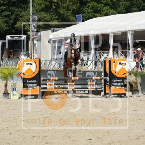 Vee Jee van ‘t Meulenhof