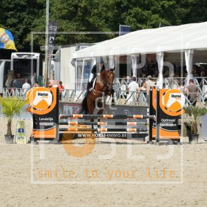 Cupido van ‘t Veldhoven z