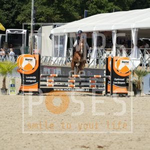 VERDI VAN DE DURMSTEDE