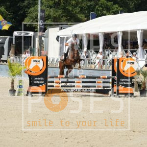 Violette Blue Du Marais DD