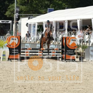 Dourkas van de Hazelinde Z