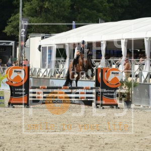 Pimenton Du Haras De Ronquieres