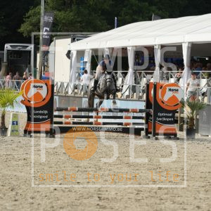 Comet White du Hornay Z