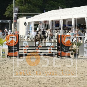 Vitesse Van De Hooghoeve