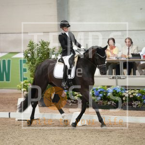 Paso Doble du Jade EWalDress