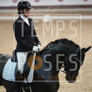 Virtuoso vh bloemenhof