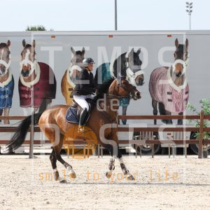 Englebienne Nathalie