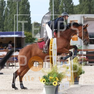 Van Ertbruggen Zosha