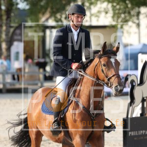 Champion De Bourguignon Z