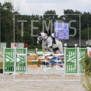 Grandi Backheuser Pedro