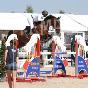 Tolano van het Hellehof