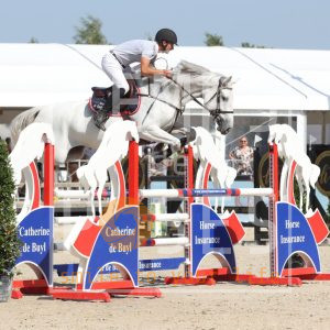 Tartine van de ceulshaegen
