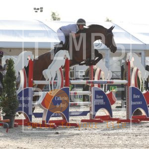 Next in Time van t Langeveld