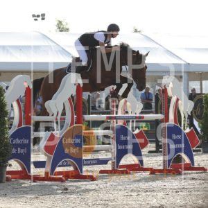 Tremonia Van De Vondel