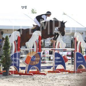 Touch of Easy van 't Paradijs