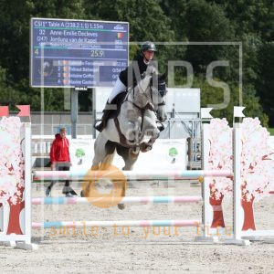 Decleves Anne-Emilie