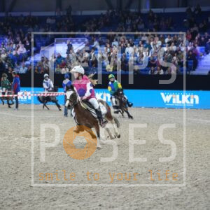 AA_Course de Poneys samedi