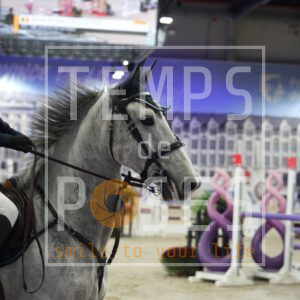 Decleves Anne-Emilie