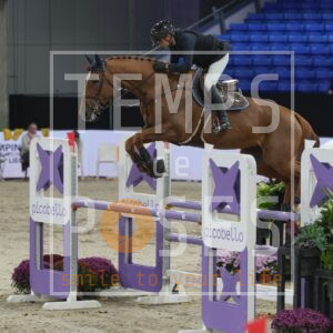 Le Jeune Vizzini Lucia