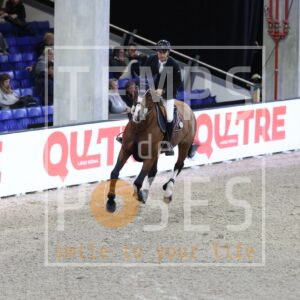 HR2A0789