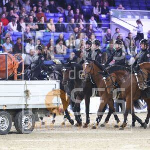 HR2A6711