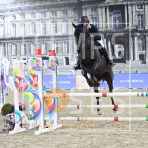 HR2A8365