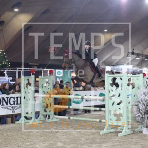 Van Dijck Anna-Laure