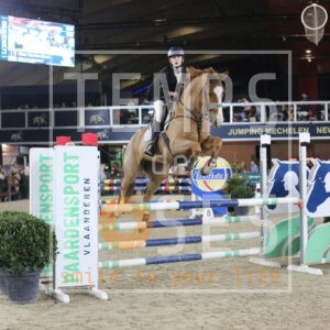 Van Den Steen Viktor