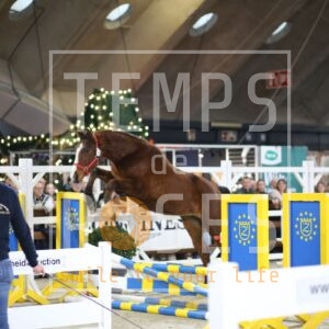 Athello Van De Dorpshoeve