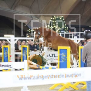 Austin Ter Doorn