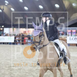 Demeulemeester Feline