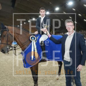 YOUNG STALLIONS 6 YEARS