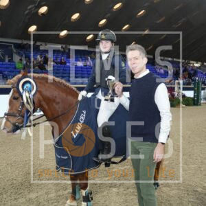 Gouden Teugel Ponies